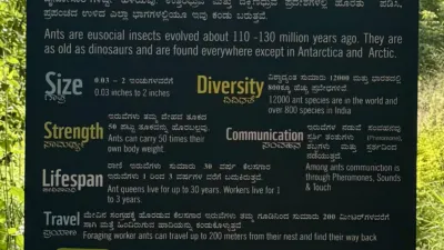 Sign describing ants from a conservation area in Bengaluru, India